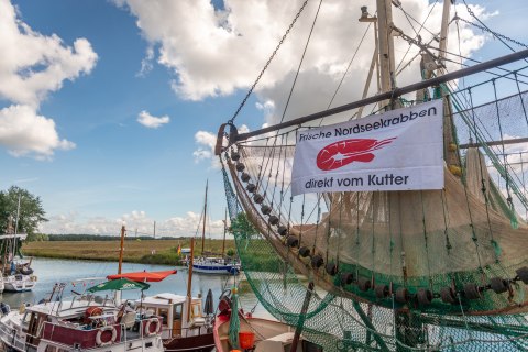 Krabbentage_Hooksiel