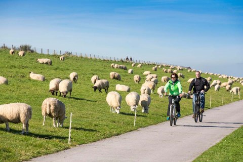 Nordsee_Wangerland_Hooksiel_Radfahren