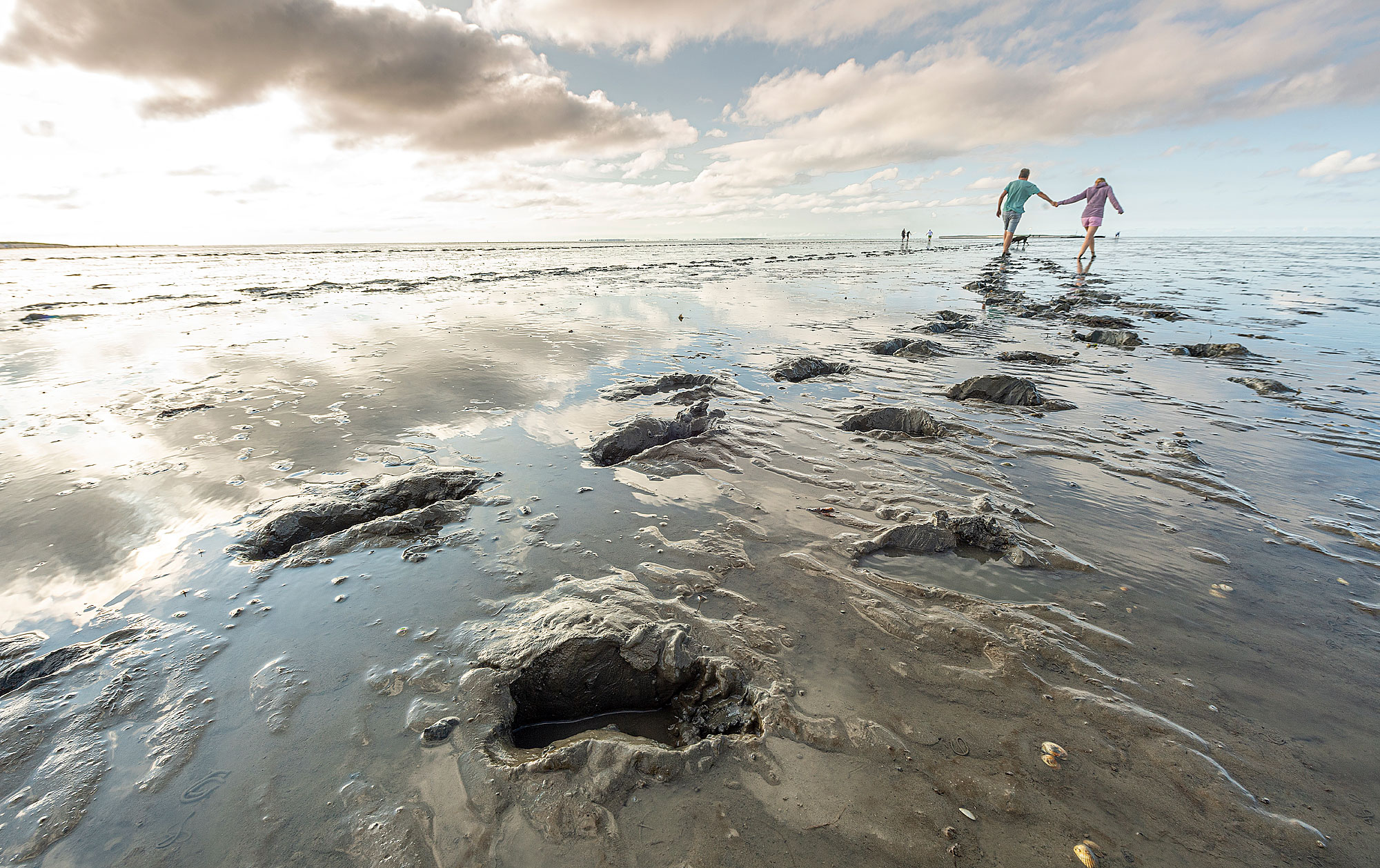 UNESCO Weltnaturerbe Wattenmeer