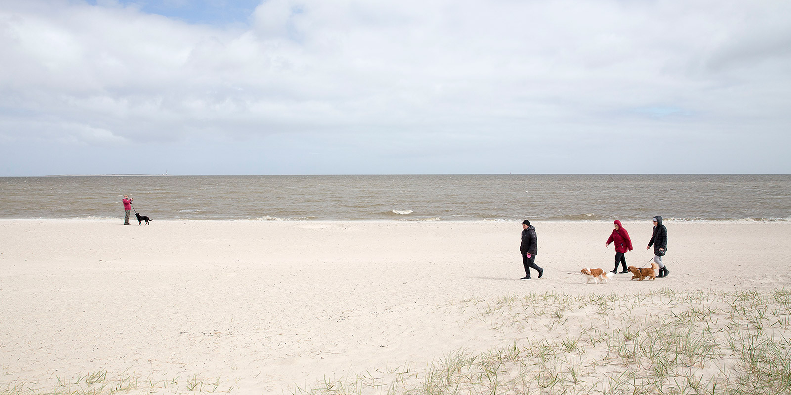 Mit dem Hund am Strand