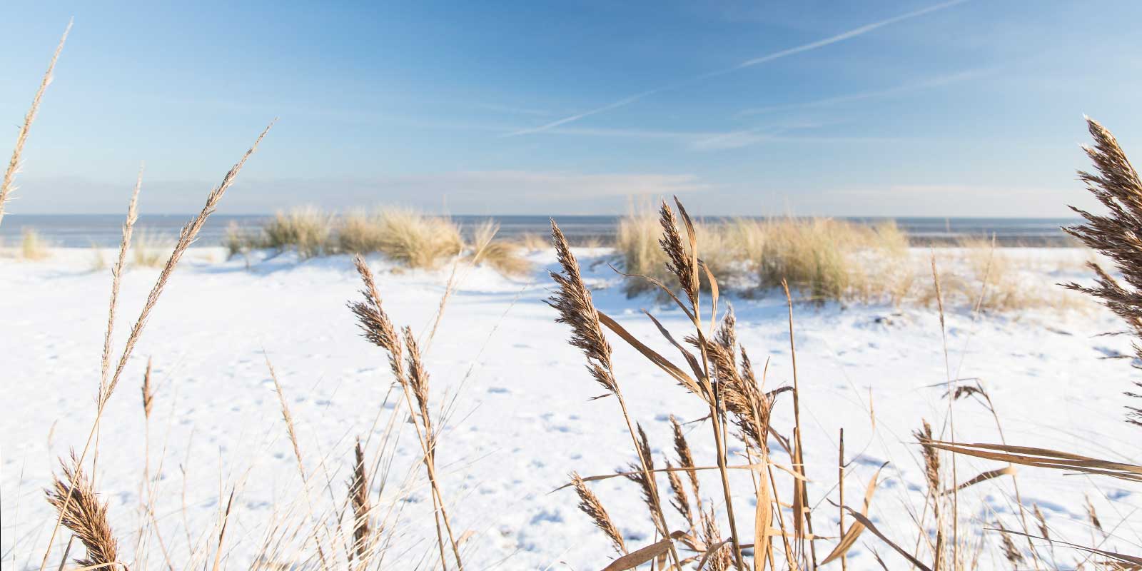 Nordsee_Wangerland_Schillig_Winter-(5)