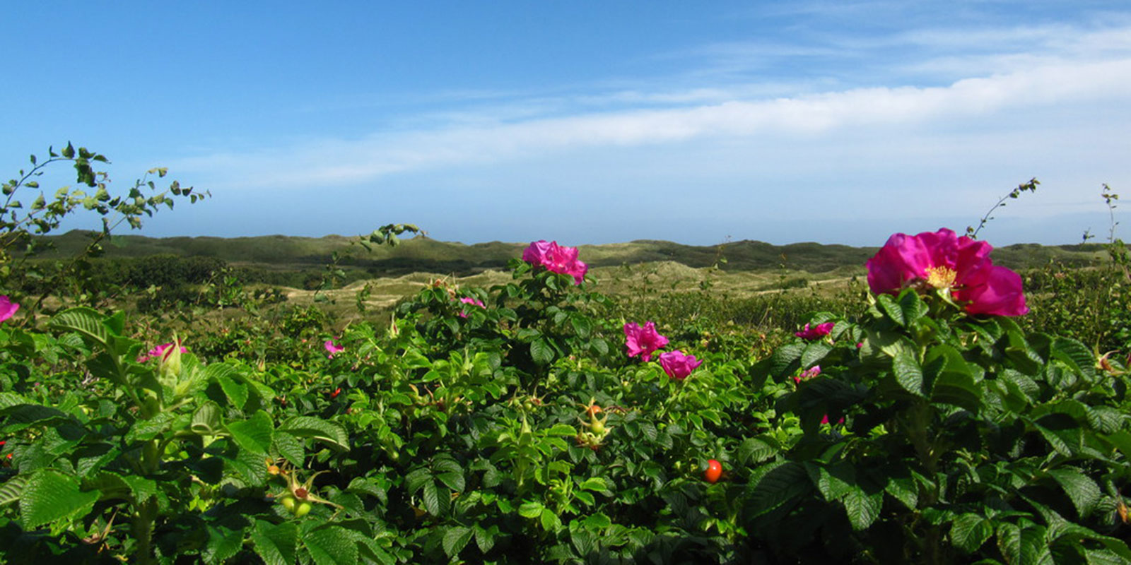 Ostfriesische Inseln