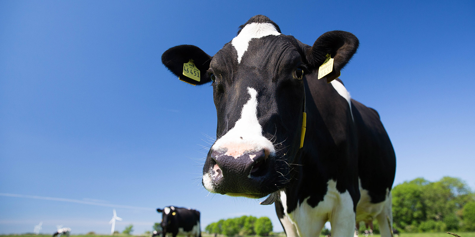 Echt Grün Eure Landwirte