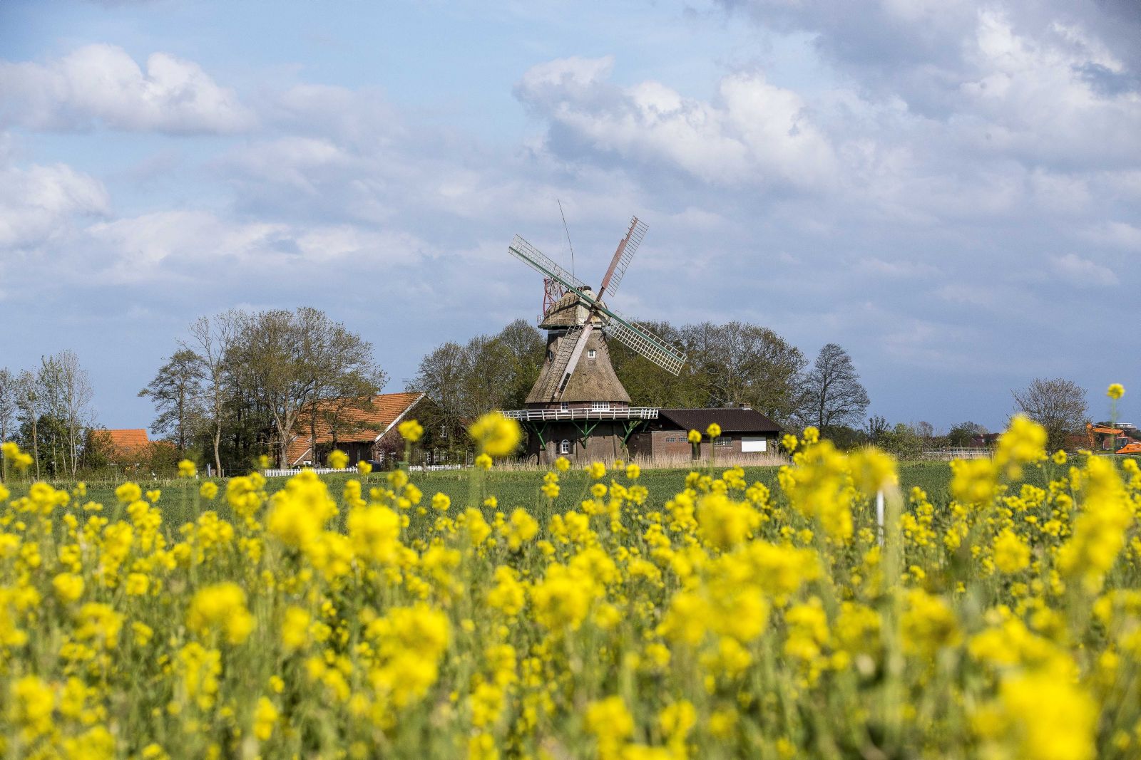 Nordsee_Wangerland_Stumpens_Windmühle
