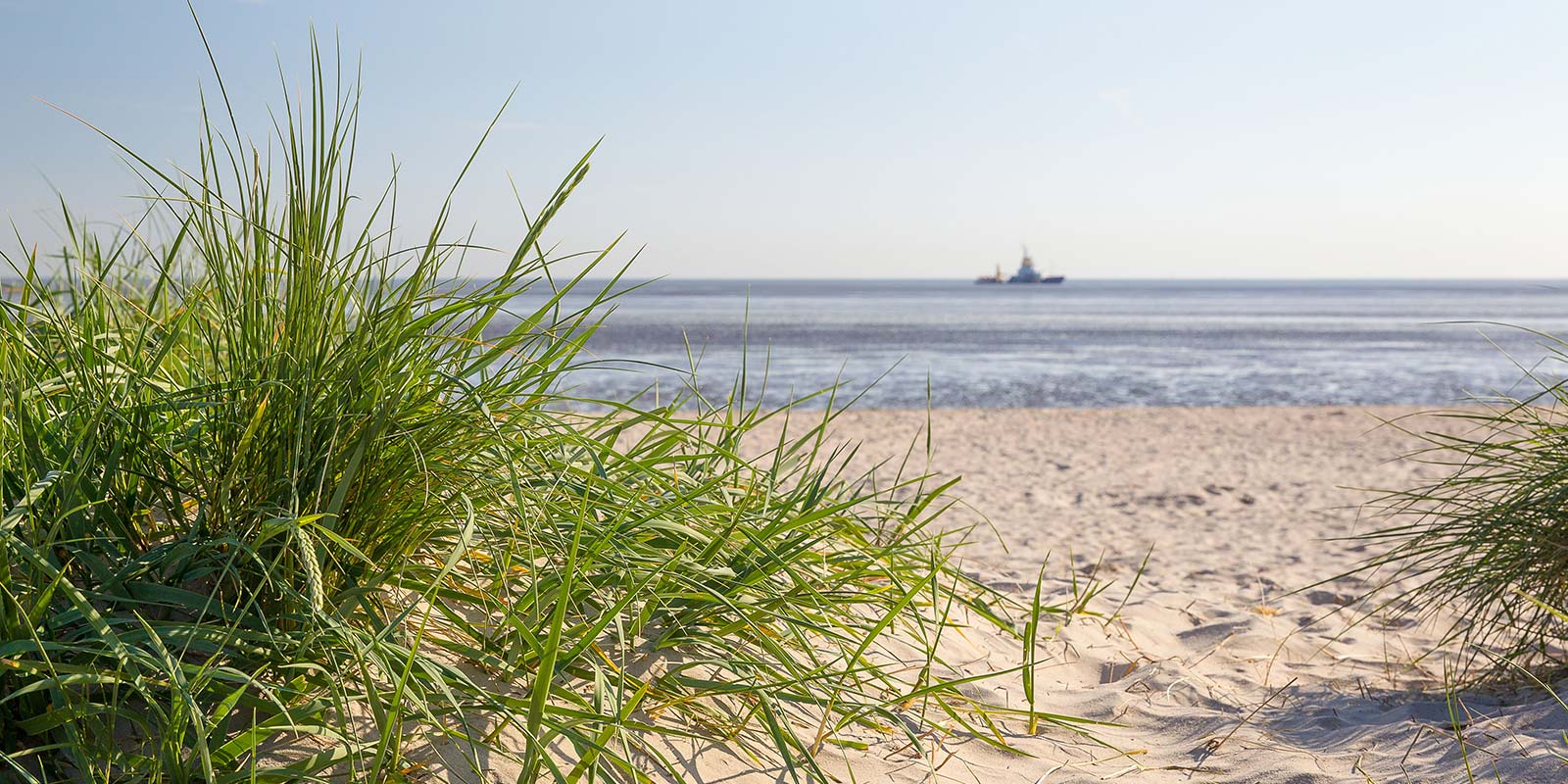 Nordsee_Wangerland_Schillig_Duenen-(6)