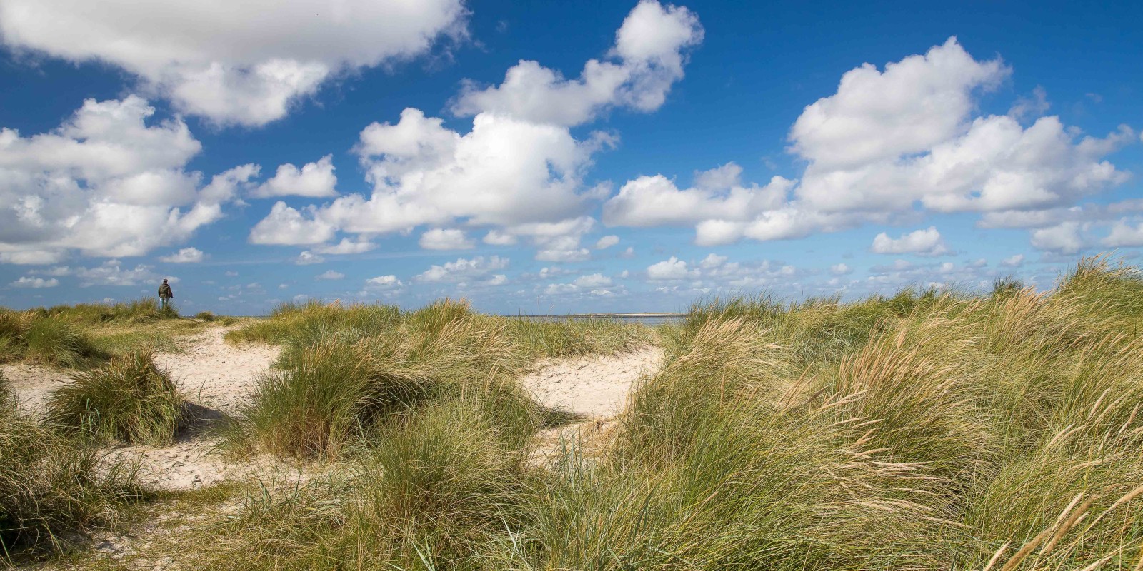 Nordsee_Wangerland_Schillig_Dünen_Inselblick