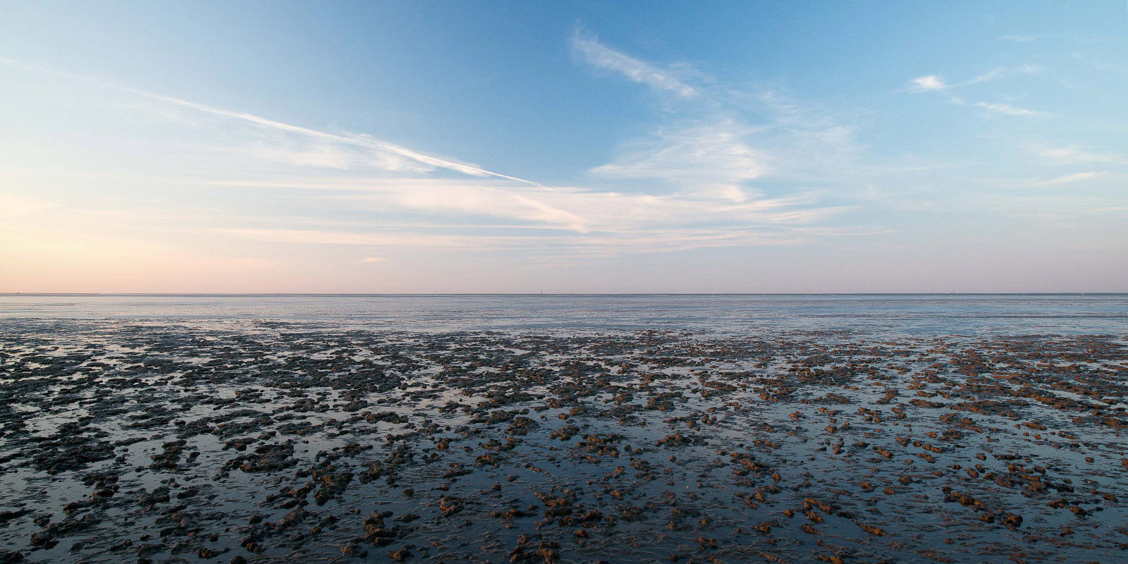Wissen UNESCO Weltnaturerbe Wattenmeer