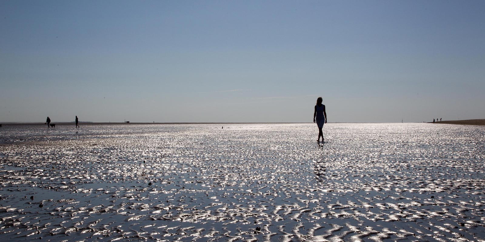 Wattwanderungen im Sommer