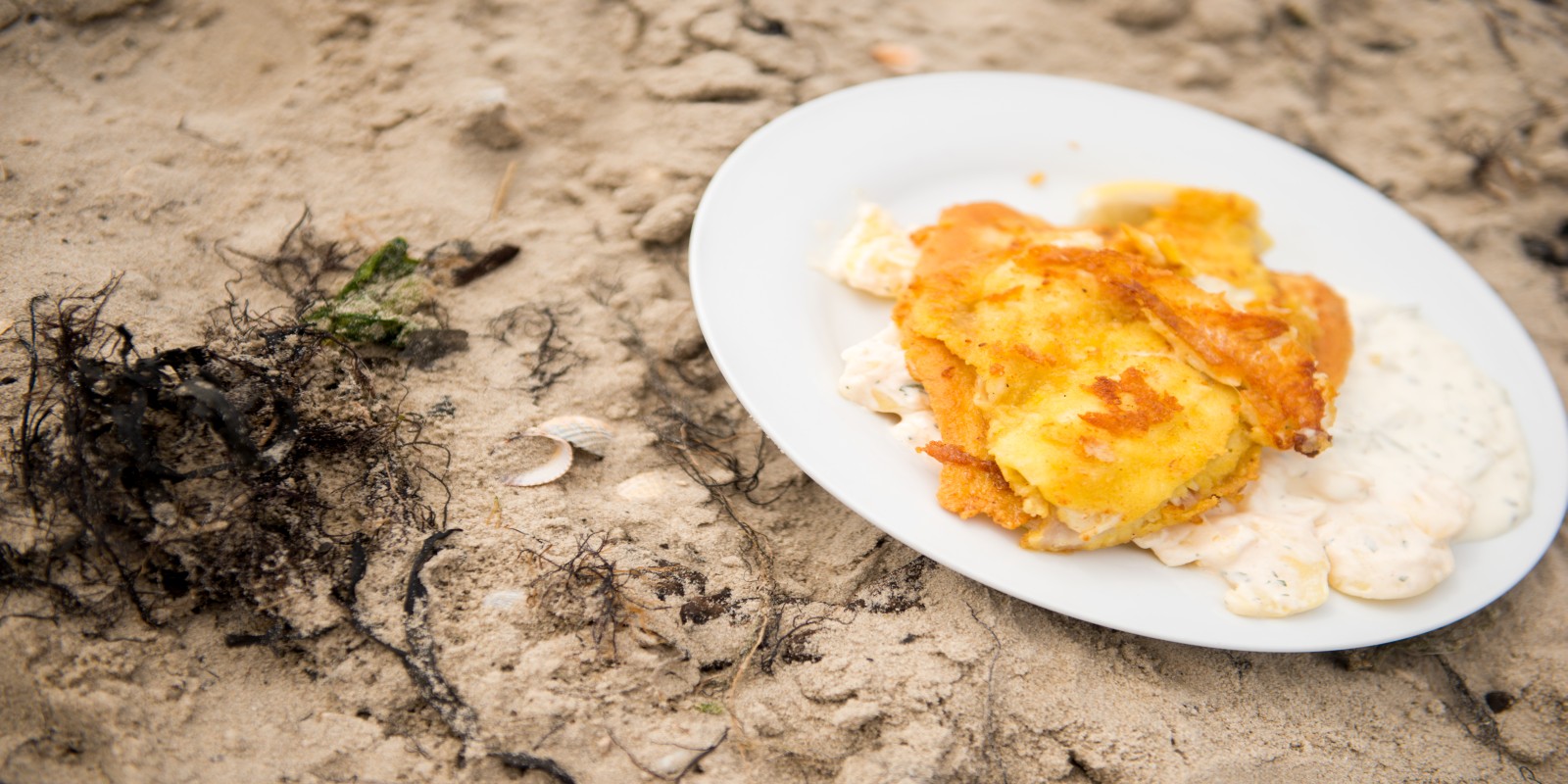 Nordsee_Wangerland_Schillig_Schollen im Watt