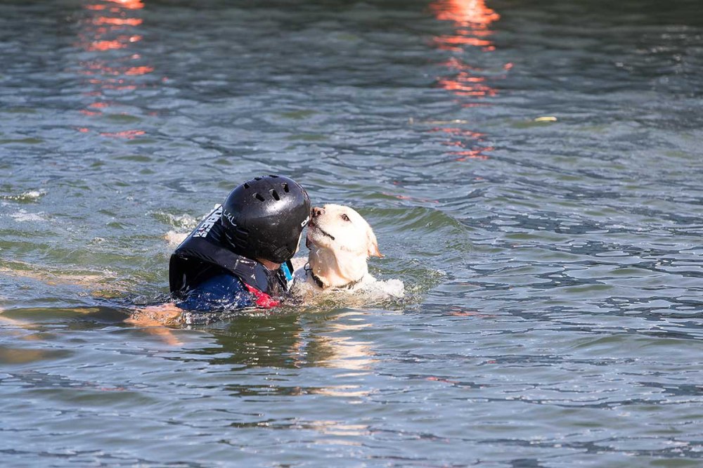 Hundefreundliche Unternehmen 