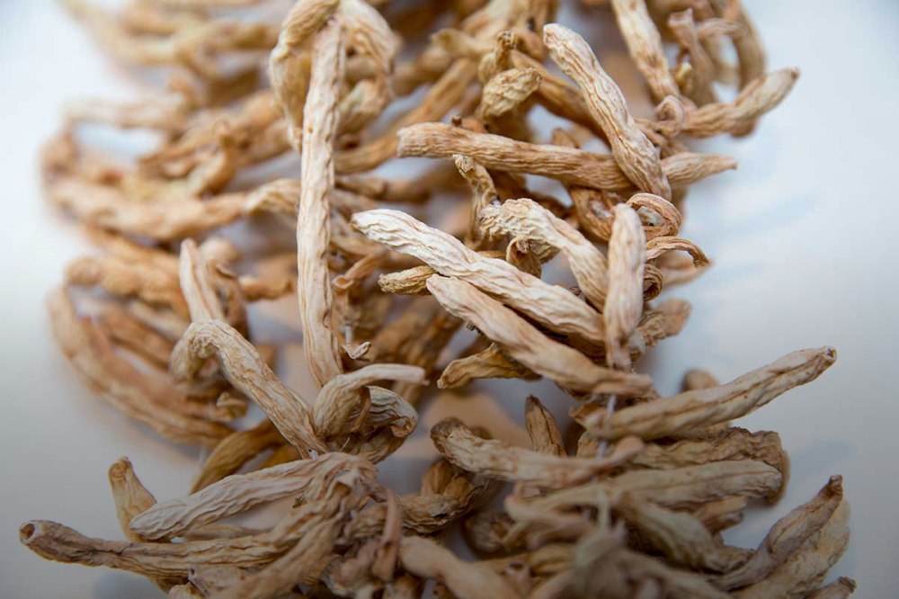 Regionale Spezialitäten