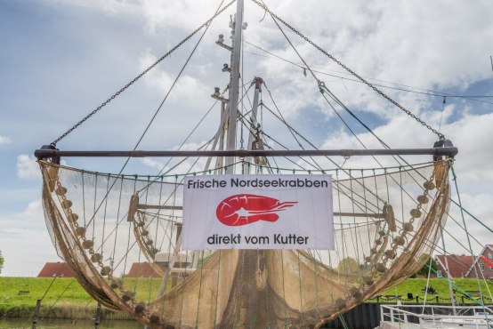 Krabbentage in Hooksiel im Wangerland an der Nordsee