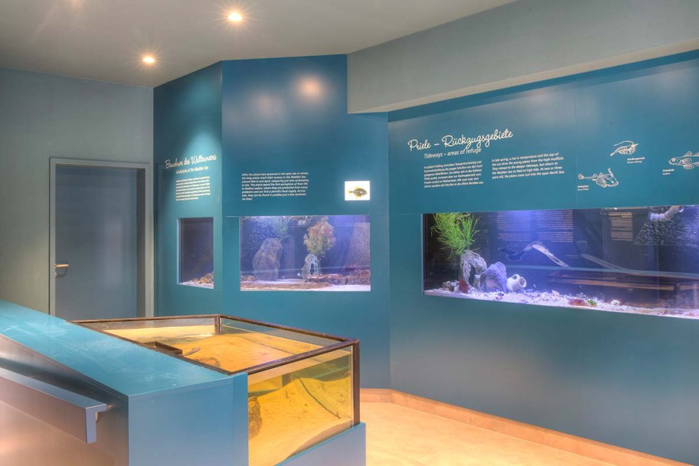 Museen & Ausstellungen