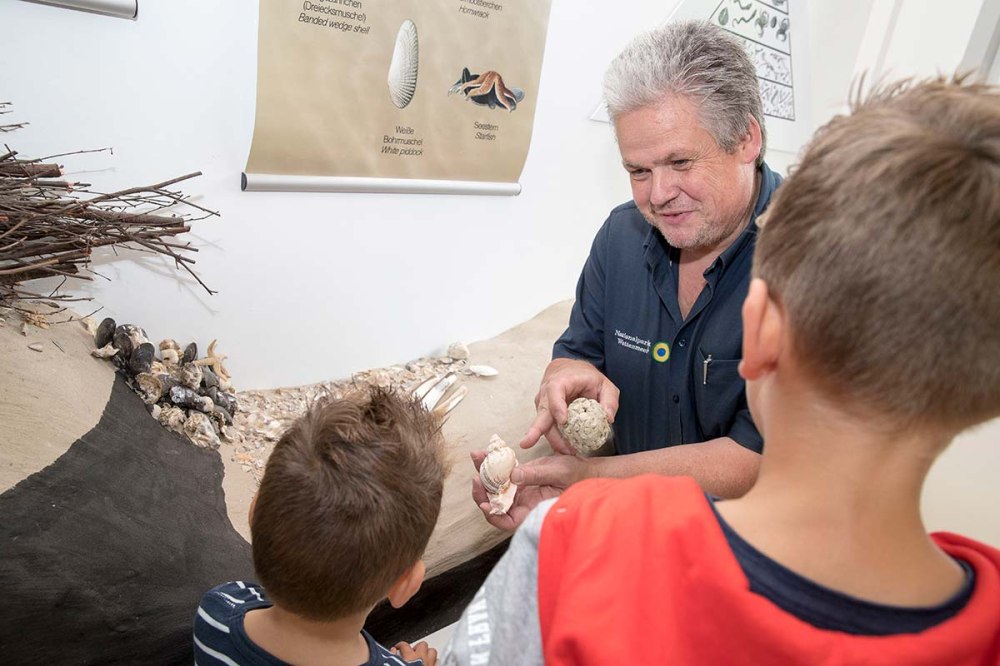 Museen & Ausstellungen