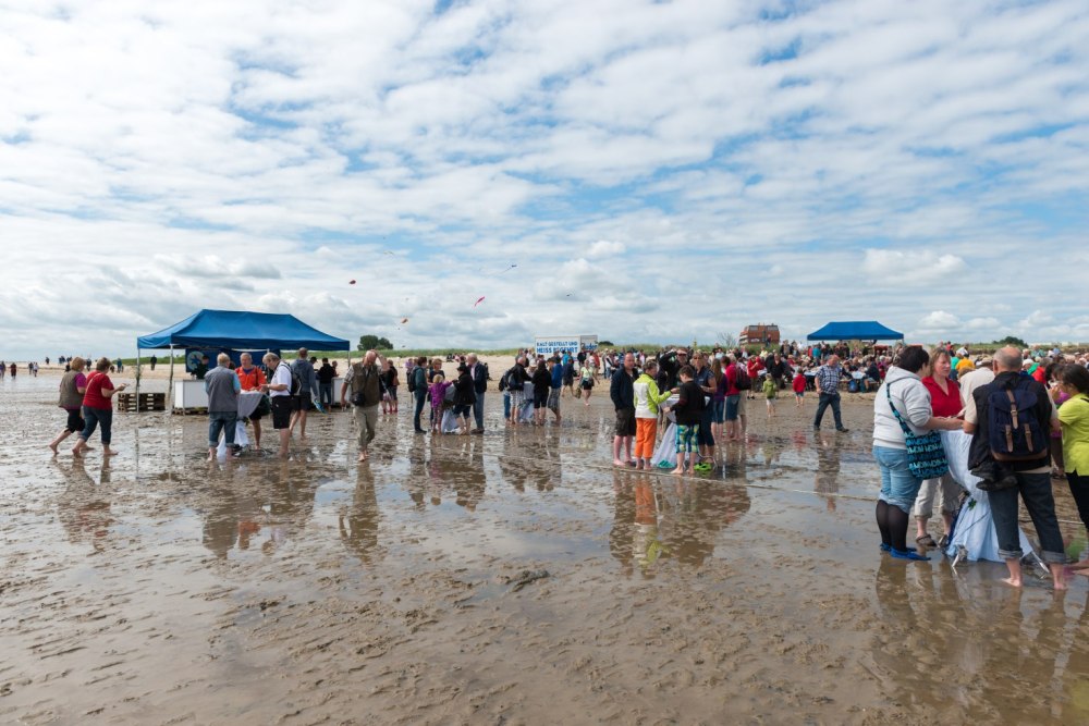 Schollenbraten im Watt
