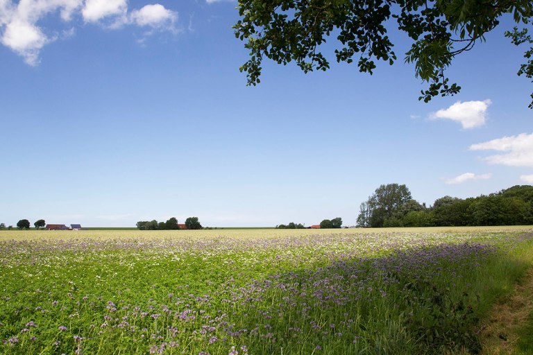 Hofläden im Wangerland