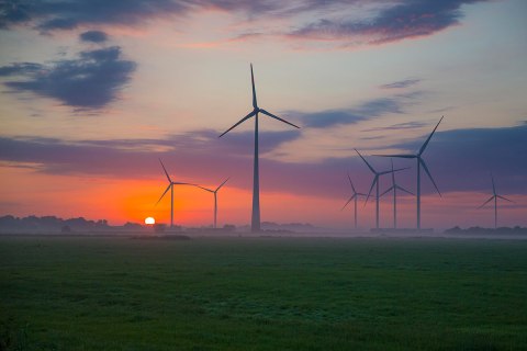 Windraeder_Landschaft_62P5617