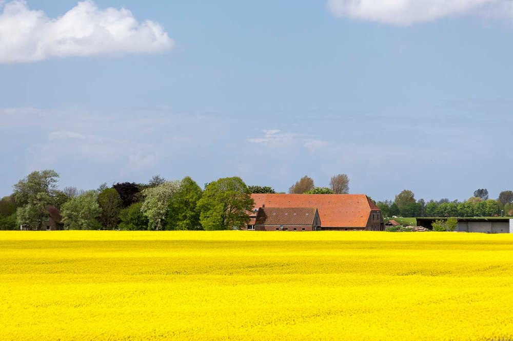 Bauernhofcafé Schild