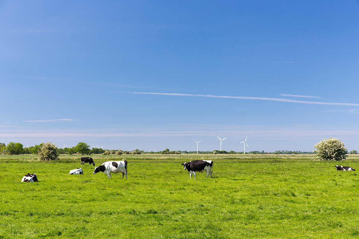 Familienferien auf dem Bauernhof