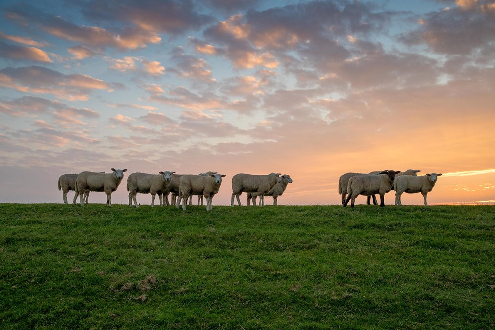 Gästebeitragssatzung 