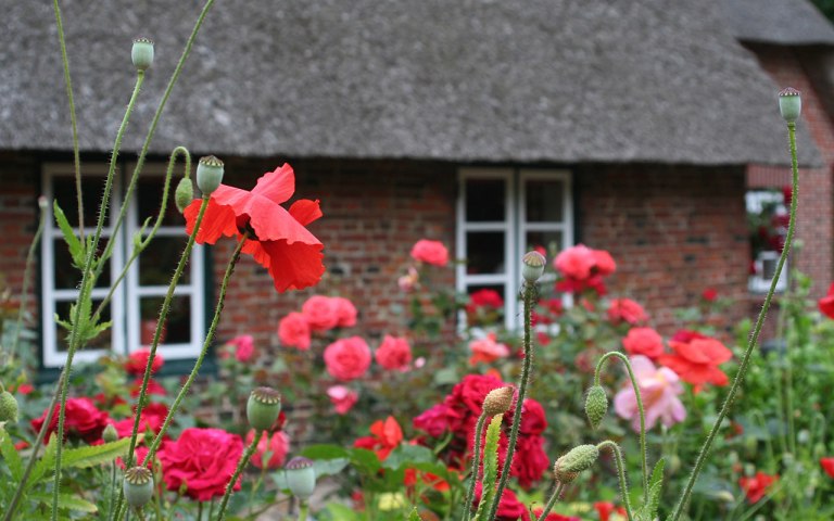 Urlaub im Wangerland