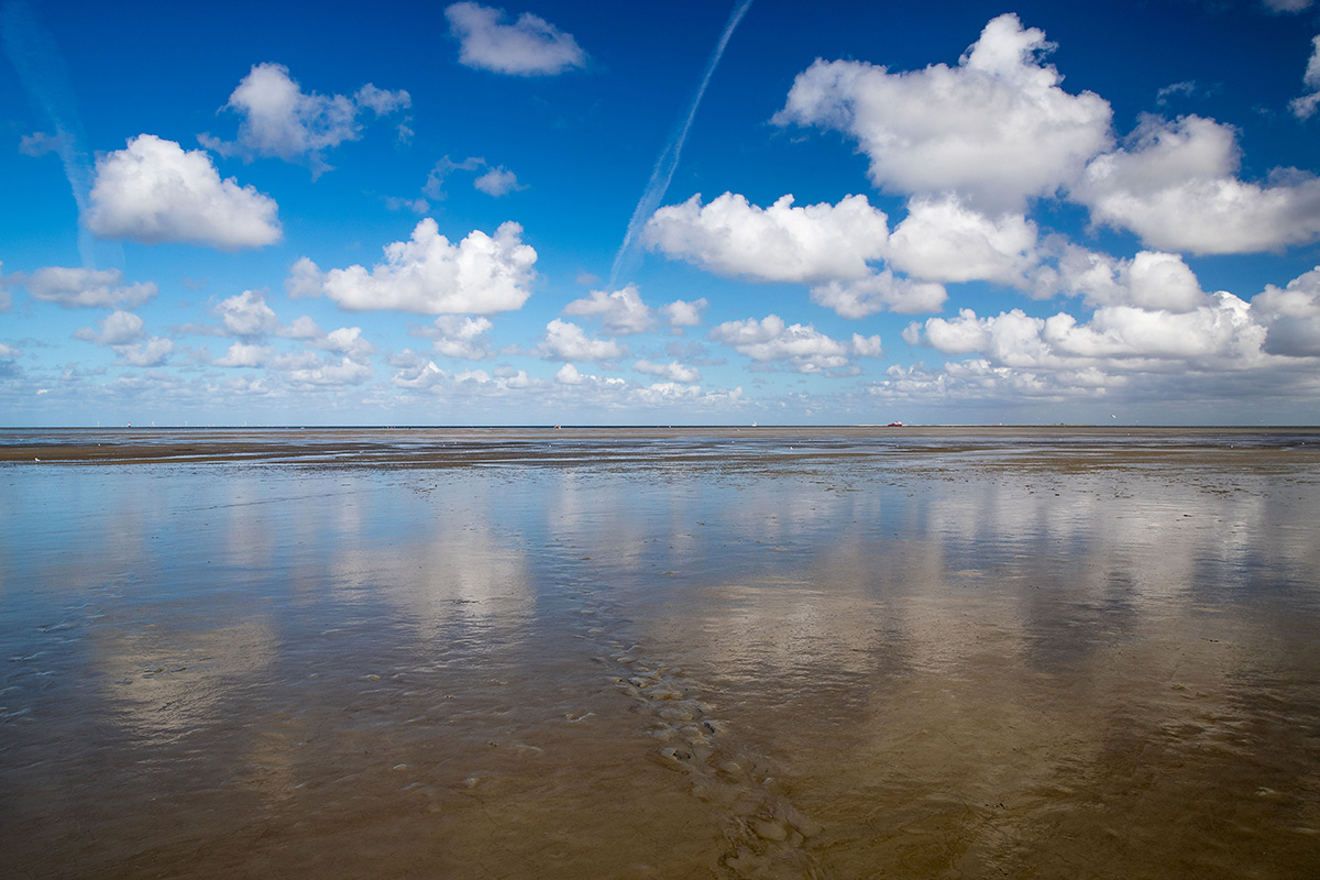 Wattwanderungen für alle