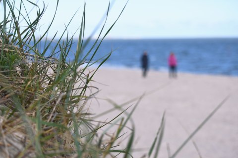 Rückkehr zum Tourismus