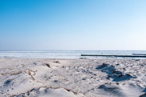 Schillig_Februar_2018_HQ-1